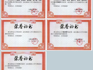 best365学生在第二届安徽省大学生物流设计大赛中取得佳绩