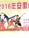 best365健美操队在2016年安徽省大学生健美操比赛中喜获佳绩