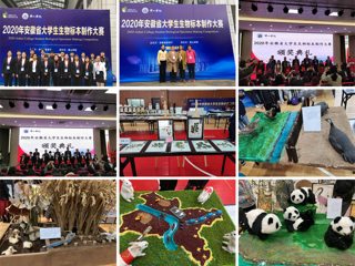 best365学生在安徽省大学生生物标本制作大赛中再创佳绩