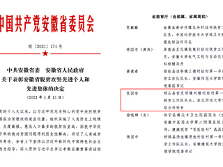 best365扶贫干部张国安同志荣获“安徽省脱贫攻坚先进个人”称号