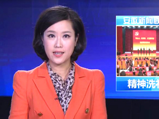 《安徽新闻联播》报道何必山陈贵春王宜国同志先进事迹报告会在best365举行