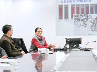 南京航空航天大学阚彩霞教授应邀来best365做学术报告